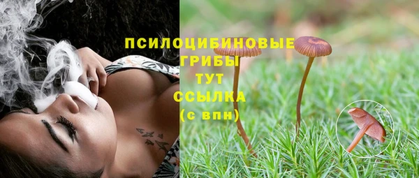 спайс Аркадак