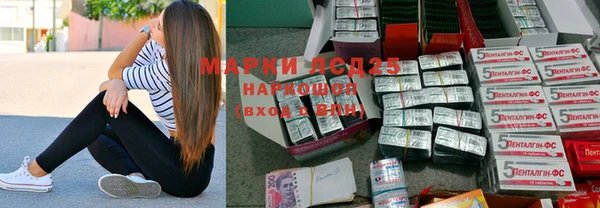 спайс Аркадак