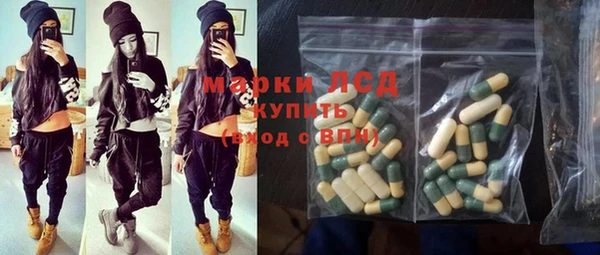 прущие грибы Кулебаки