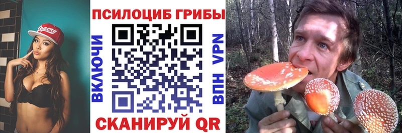 как найти закладки  Кирово-Чепецк  Галлюциногенные грибы ЛСД 